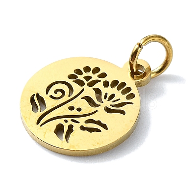 304 Stainless Steel Charms STAS-C097-46G-06-1