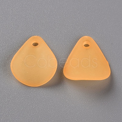 Transparent Frosted Acrylic Pendants MACR-S371-09A-719-1