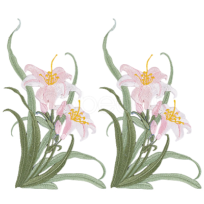 2Pcs Polyester Clothing Patches PATC-GF0001-85A-1