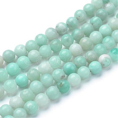 Natural Amazonite Beads Strands G-T055-10mm-17-1