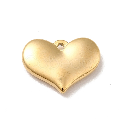 Ion Plating(IP) 304 Stainless Steel Pendants STAS-E176-01G-1