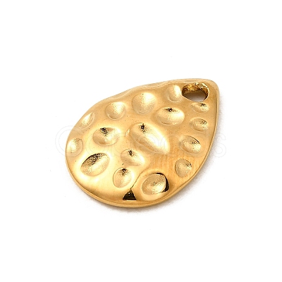 304 Stainless Steel Charms STAS-Z157-15G-1