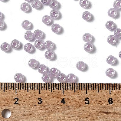 Glass Seed Beads SEED-H002-E-A1421-1