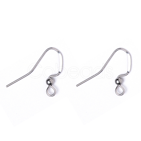 Tarnish Resistant 304 Stainless Steel French Earring Hooks X-STAS-Q229-02-1