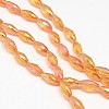 Electroplate Crystal Glass Rice Beads Strands EGLA-F042-A14-2
