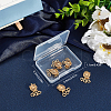 3-Strand 6-Hole Brass Box Clasps FIND-SC0003-31G-7