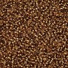 Goldenrod Round 11/0 Grade A Transparent Glass Seed Beads X-SEED-Q007-F31-2