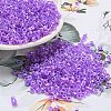 Electroplate Transparent Glass Seed Beads SEED-S042-16A-03-1