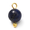 Natural Mixed Gemstone Charms PALLOY-JF00992-01-3