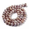 Natural Cultured Freshwater Pearl Beads Strands PEAR-L033-05B-01-3