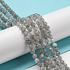 Faceted Round Natural Labradorite Bead Strands G-I156-03-4mm-7
