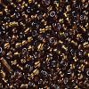 6/0 Glass Seed Beads X1-SEED-A005-4mm-53-2