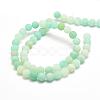 Natural Amazonite Bead Strands G-G684-03-10mm-2