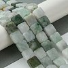 Natural Myanmar Jadeite Beads Strands G-A092-C01-01-2