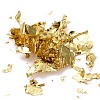 Foil Flakes X-DIY-E032-02B-3