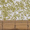 MIYUKI Delica Beads X-SEED-J020-DB1154-4