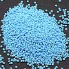 6/0 Glass Seed Beads SEED-J014-F6-43-2