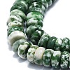 Natural Green Spot Jasper Beads Strands G-K245-B15-02-3