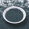 MIYUKI Round Rocailles Beads SEED-X0054-RR4516-2