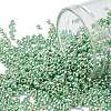 TOHO Round Seed Beads SEED-XTR11-PF0570-1