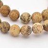 Natural Picture Jasper Beads Strands G-G735-16F-4mm-1