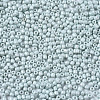 12/0 Glass Seed Beads SEED-S060-A-F408-3