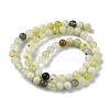 Natural New Jade Beads Strands G-F591-16-6MM-4