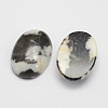 Natural Zebra Jasper Cabochons X-G-D860-A13-1