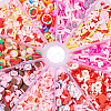 70G 10 Styles Handmade Polymer Clay Sprinkles Mix CLAY-SW0001-03A-2