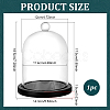 Arch Glass Dome Cover AJEW-WH0481-606B-2