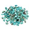 Synthetic Turquoise Chip Beads G-FS0001-13-2