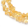 Natural Citrine Beads Strands X-G-P332-51-4