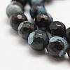 Faceted Natural Fire Crackle Agate Beads Strands G-F447-10mm-A14-3