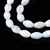 Natural Trochid Shell/Trochus Shell Beads Strands SSHEL-S266-021A-02-3