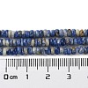 Natural Sodalite Beads Strands G-H292-A08-01-5