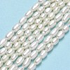 Natural Cultured Freshwater Pearl Beads Strands PEAR-J006-03E-2