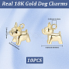 10Pcs Brass Charms KK-BBC0024-48-2