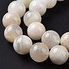 Natural White Moonstone Beads Strands G-F674-08-10mm-01-5