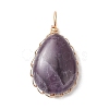 Natural Amethyst Pendants PALLOY-JF04776-03-1
