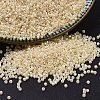 MIYUKI Delica Beads X-SEED-J020-DB1560-1