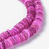 Natural Freshwater Shell Beads Strands BSHE-I016-04D-3