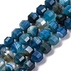 Natural Banded Agate(Dyed & Heated) Beads Strands G-C171-D01-01-2