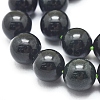 Natura Myanmar Black Jade Beads Strands G-D0001-06-10mm-3