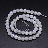 Natural Rainbow Moonstone Round Bead Strands G-M263-D-02-2