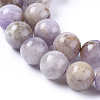 Natural Lavender Amethyst Beads Strands G-L555-01-4mm-2