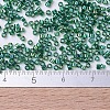 MIYUKI Delica Beads SEED-MY11-DB0175-4