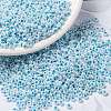MIYUKI Round Rocailles Beads X-SEED-G008-RR0430-1