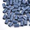 Acrylic European Beads SACR-T344-09A-03-1