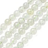Natural Green Beryl Beads Strands G-F787-01-6mm-2