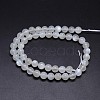 Nature White Moonstone Round Bead Strands G-M262-8mm-04-2